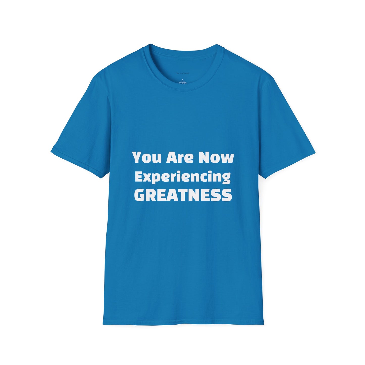Greatness Quote Unisex T-Shirt | Motivational Quote Tee | Inspirational Gift | Casual Everyday Wear | Birthday Gift Idea, Relaxed Fit [...]