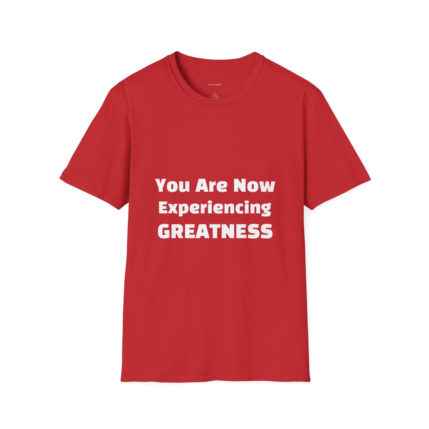 Greatness Quote Unisex T-Shirt | Motivational Quote Tee | Inspirational Gift | Casual Everyday Wear | Birthday Gift Idea, Relaxed Fit [...]