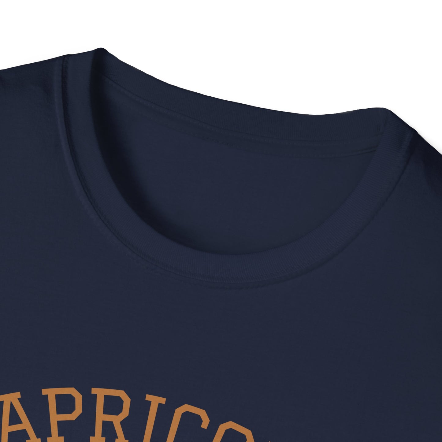 Capricorn Unisex Softstyle T-Shirt