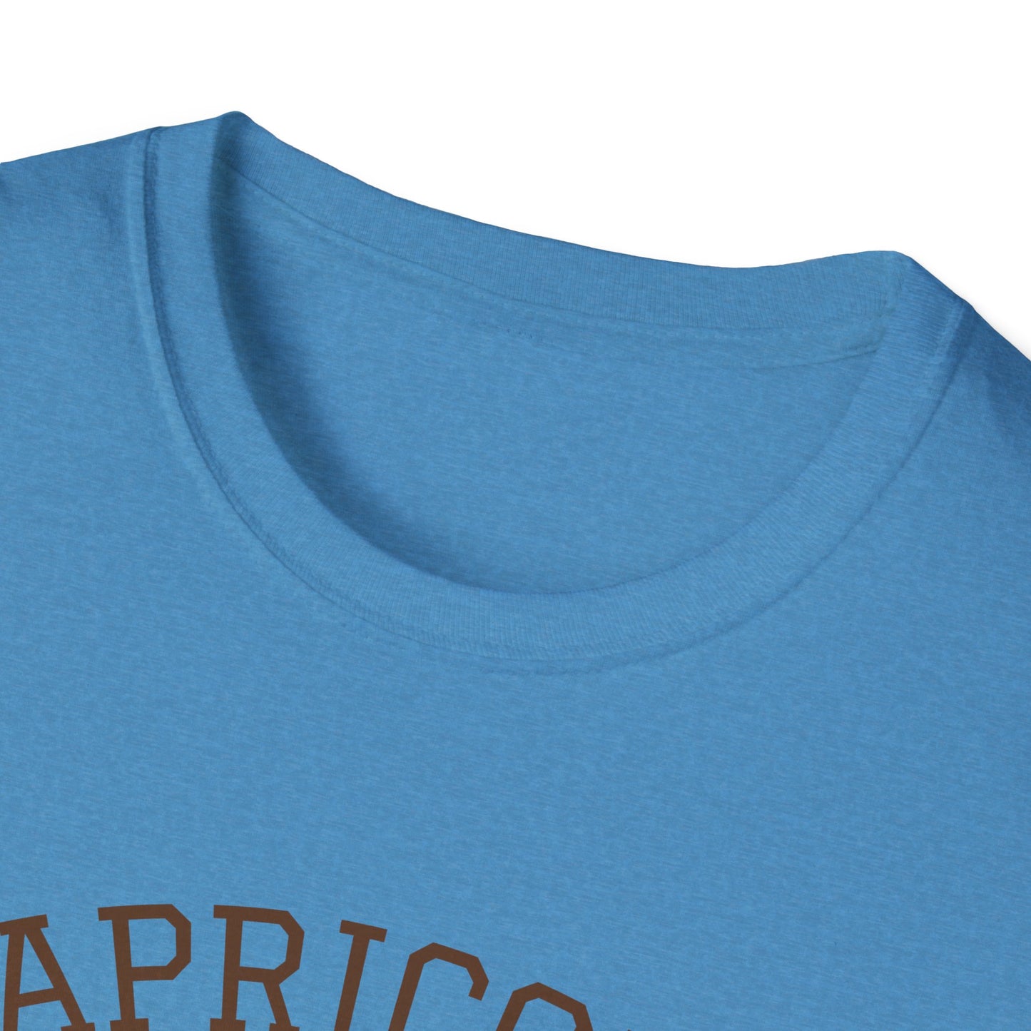 Capricorn Unisex Softstyle T-Shirt