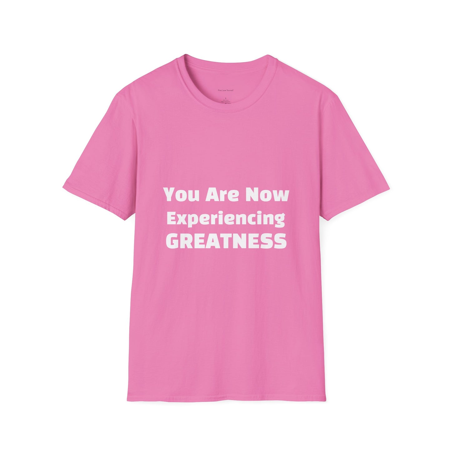 Greatness Quote Unisex T-Shirt | Motivational Quote Tee | Inspirational Gift | Casual Everyday Wear | Birthday Gift Idea, Relaxed Fit [...]