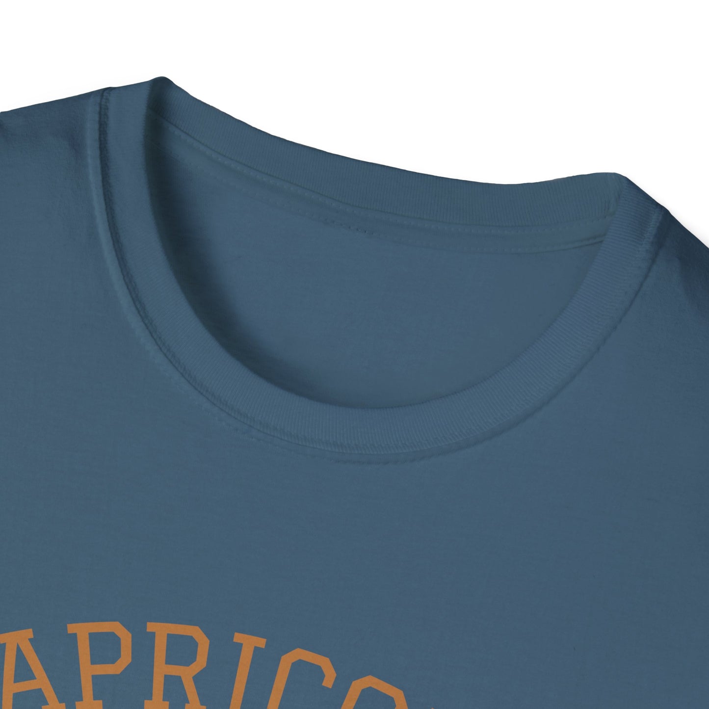 Capricorn Unisex Softstyle T-Shirt