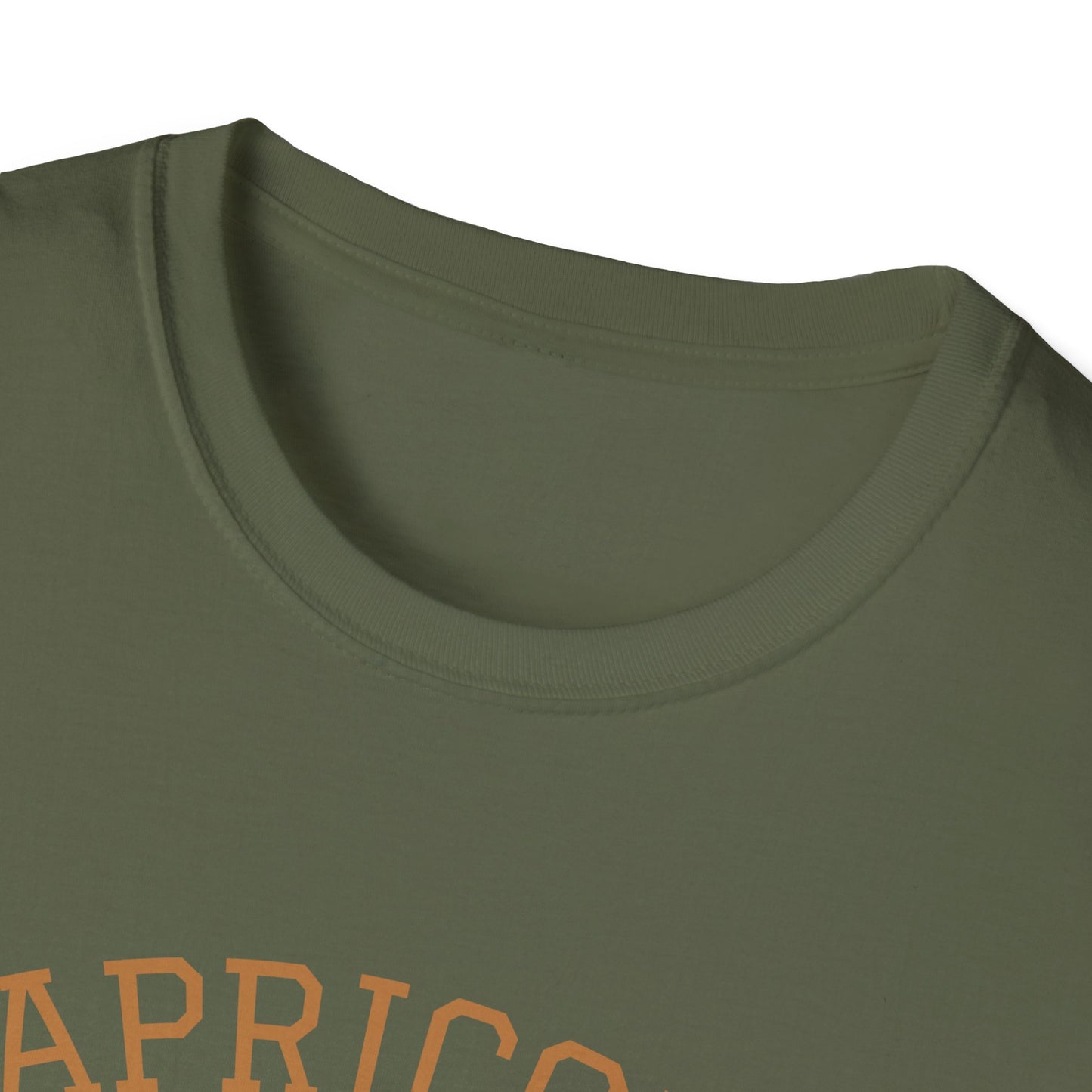 Capricorn Unisex Softstyle T-Shirt