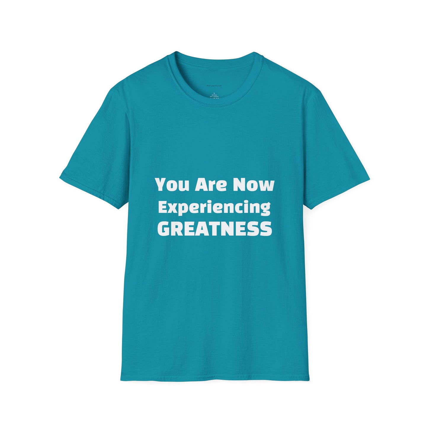 Greatness Quote Unisex T-Shirt | Motivational Quote Tee | Inspirational Gift | Casual Everyday Wear | Birthday Gift Idea, Relaxed Fit [...]