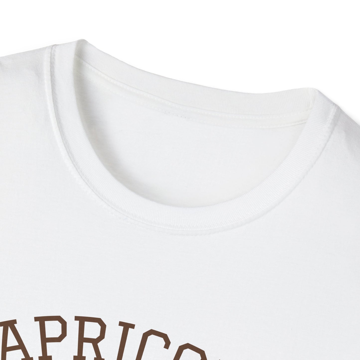 Capricorn Unisex Softstyle T-Shirt