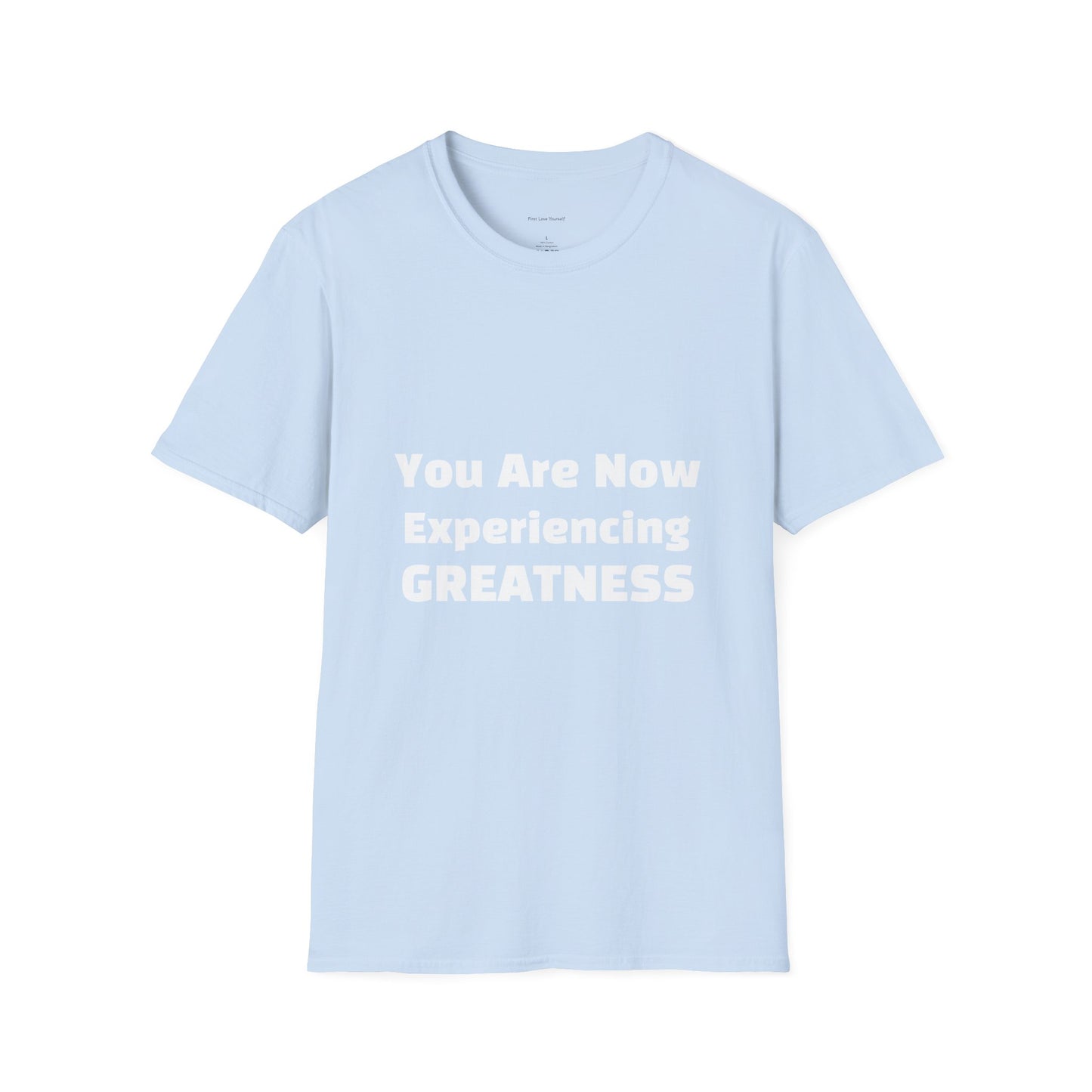 Greatness Quote Unisex T-Shirt | Motivational Quote Tee | Inspirational Gift | Casual Everyday Wear | Birthday Gift Idea, Relaxed Fit [...]