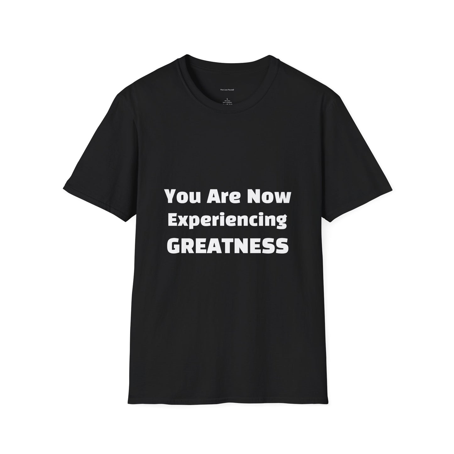 Greatness Quote Unisex T-Shirt | Motivational Quote Tee | Inspirational Gift | Casual Everyday Wear | Birthday Gift Idea, Relaxed Fit [...]