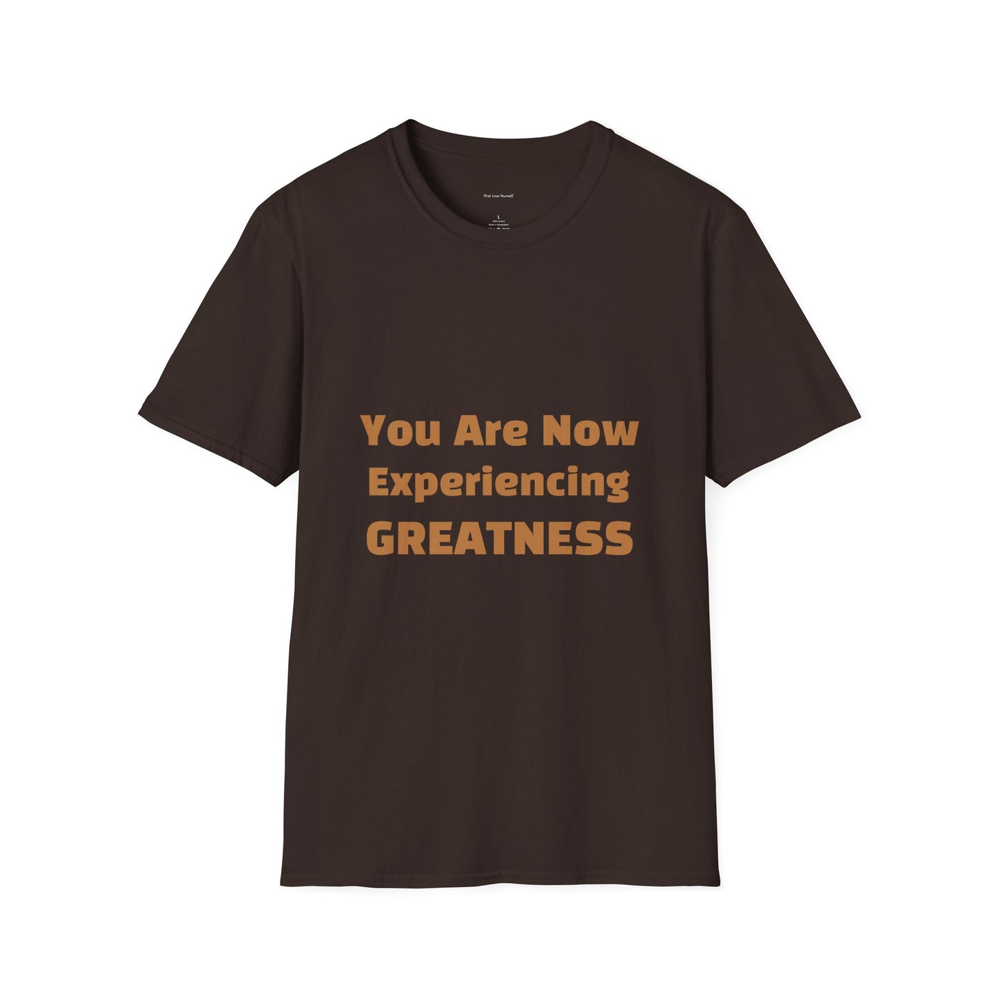 Greatness Quote Unisex T-Shirt | Motivational Quote Tee | Inspirational Gift | Casual Everyday Wear | Birthday Gift Idea, Relaxed Fit [...]