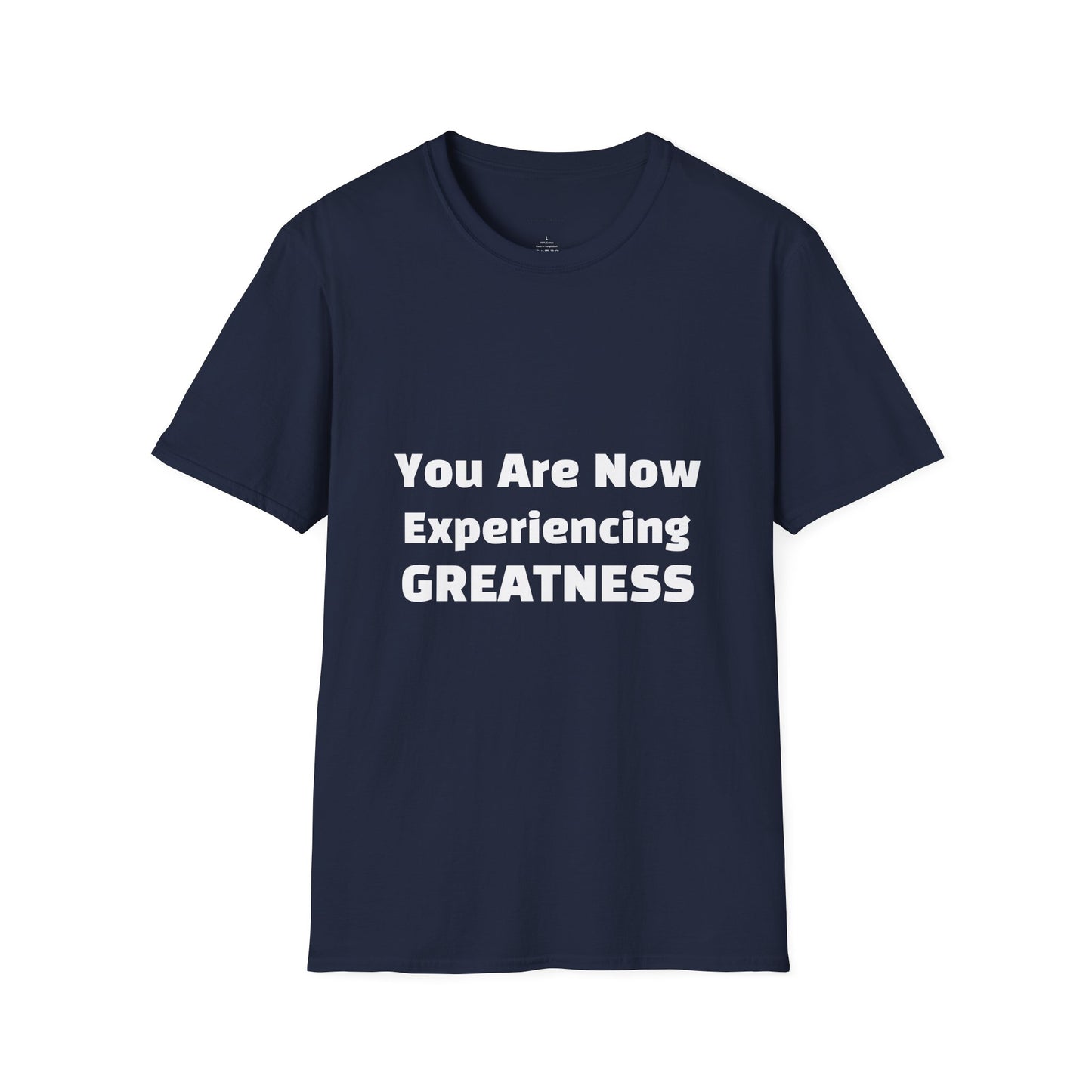 Greatness Quote Unisex T-Shirt | Motivational Quote Tee | Inspirational Gift | Casual Everyday Wear | Birthday Gift Idea, Relaxed Fit [...]