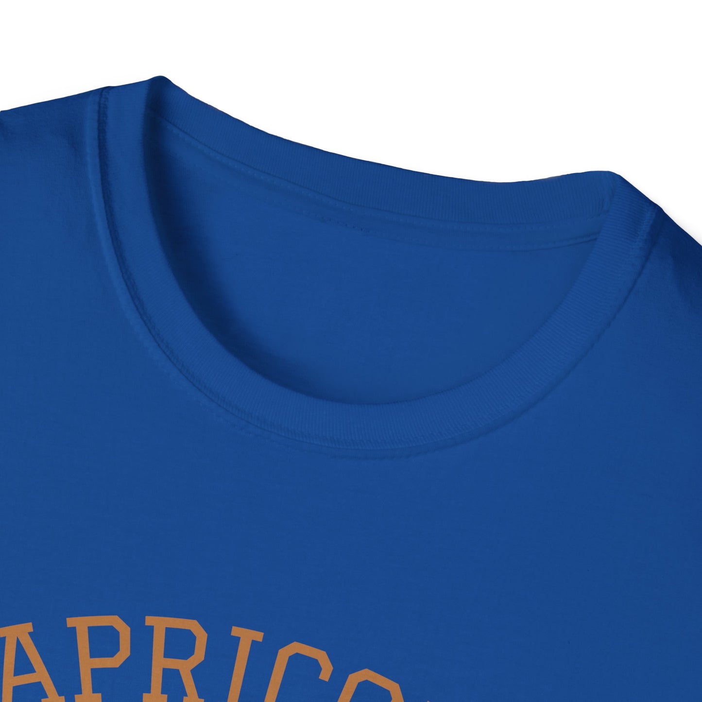 Capricorn Unisex Softstyle T-Shirt