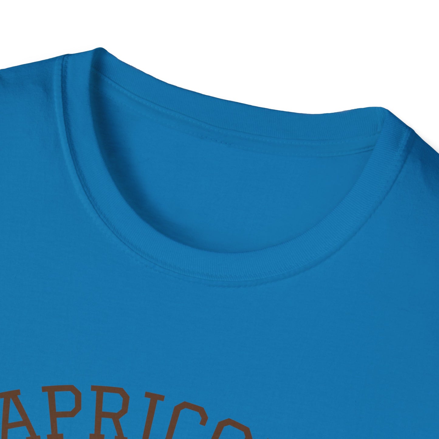 Capricorn Unisex Softstyle T-Shirt