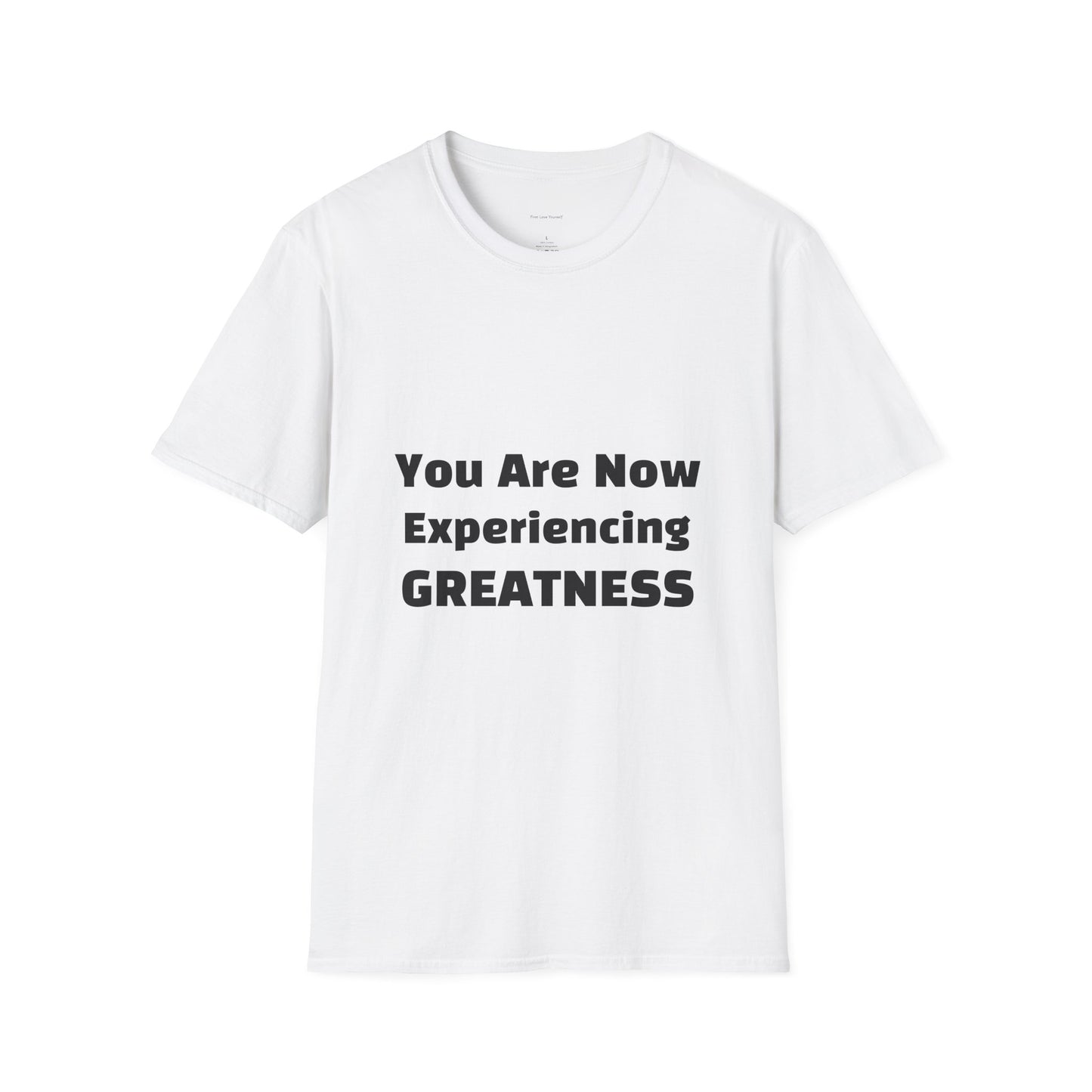 Greatness Quote Unisex T-Shirt | Motivational Quote Tee | Inspirational Gift | Casual Everyday Wear | Birthday Gift Idea, Relaxed Fit [...]