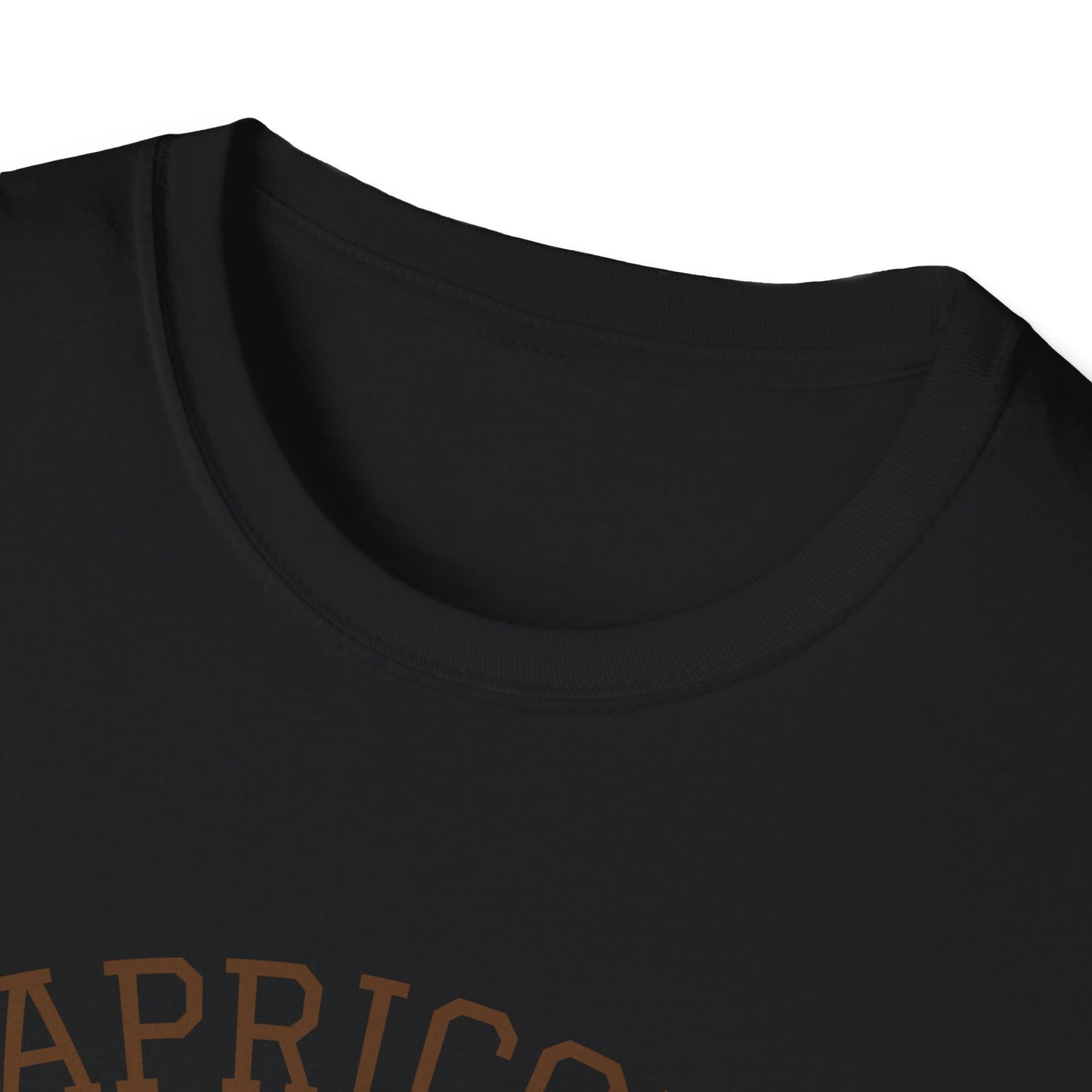 Capricorn Unisex Softstyle T-Shirt