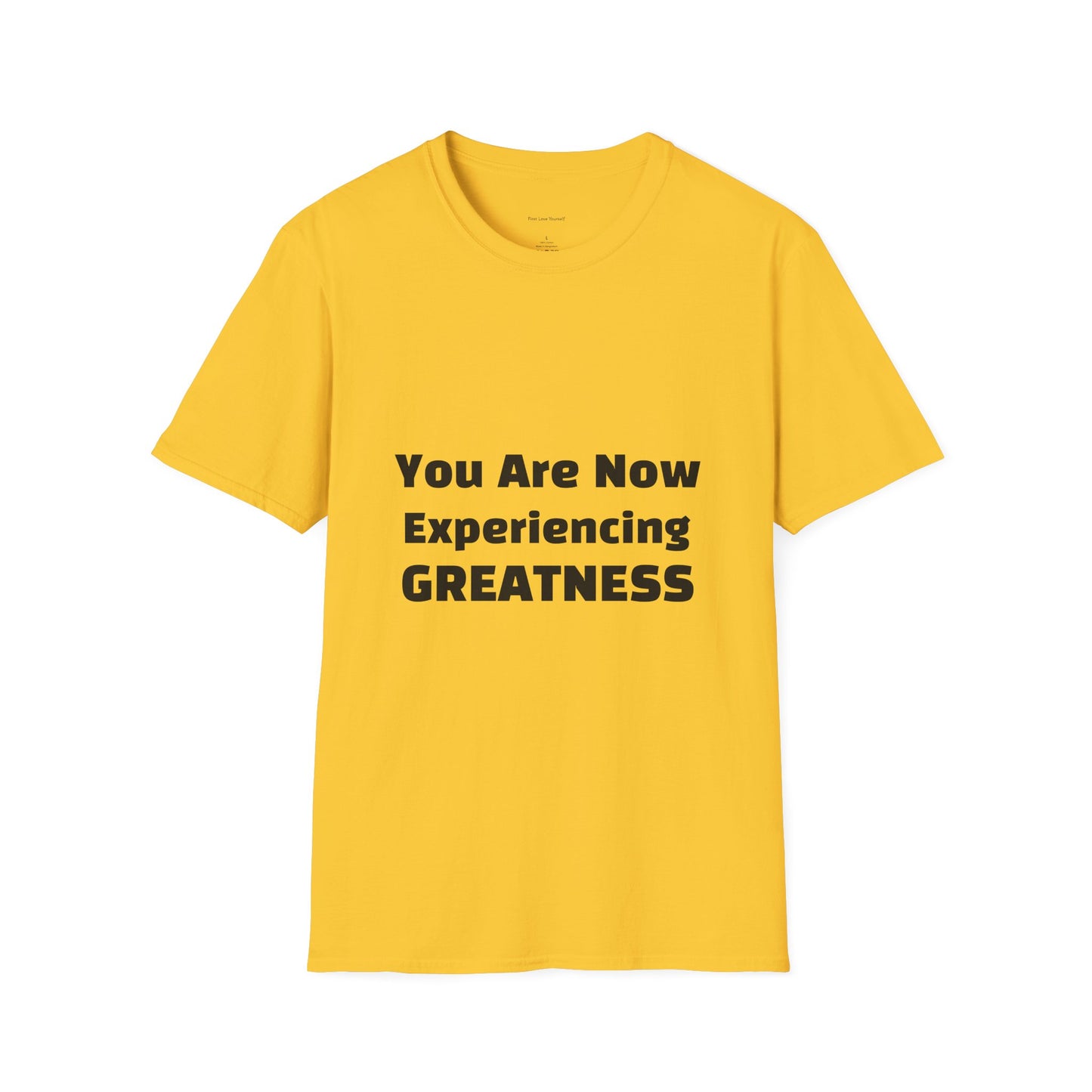 Greatness Quote Unisex T-Shirt | Motivational Quote Tee | Inspirational Gift | Casual Everyday Wear | Birthday Gift Idea, Relaxed Fit [...]